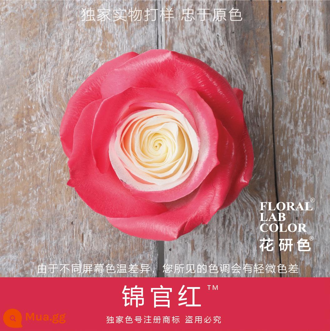 Flower Research color phun sơn phun màu đại lý thuốc nhuộm tóc chính hãng Michigan crush ice blue cao cấp màu Morandi - Jinguanhong® 65 #