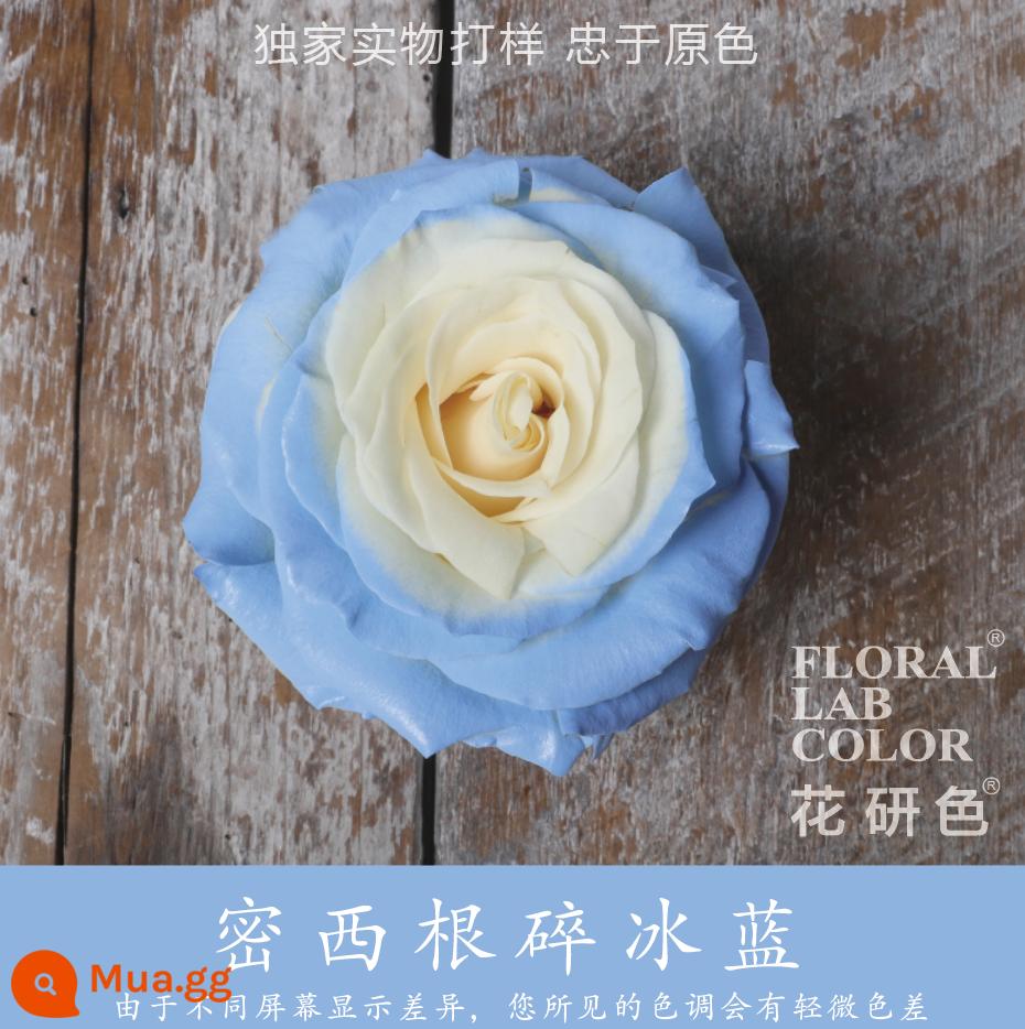 Flower Research color phun sơn phun màu đại lý thuốc nhuộm tóc chính hãng Michigan crush ice blue cao cấp màu Morandi - Michigan Đá Nghiền Màu Xanh 37#