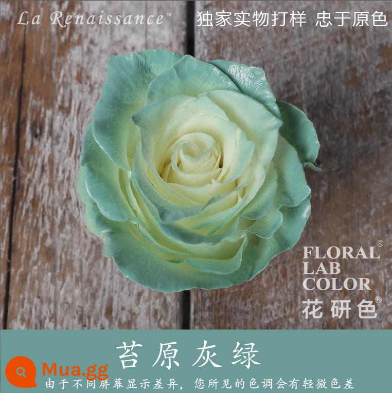 Flower Research color phun sơn phun màu đại lý thuốc nhuộm tóc chính hãng Michigan crush ice blue cao cấp màu Morandi - Lãnh Nguyên Xám Xanh R011#