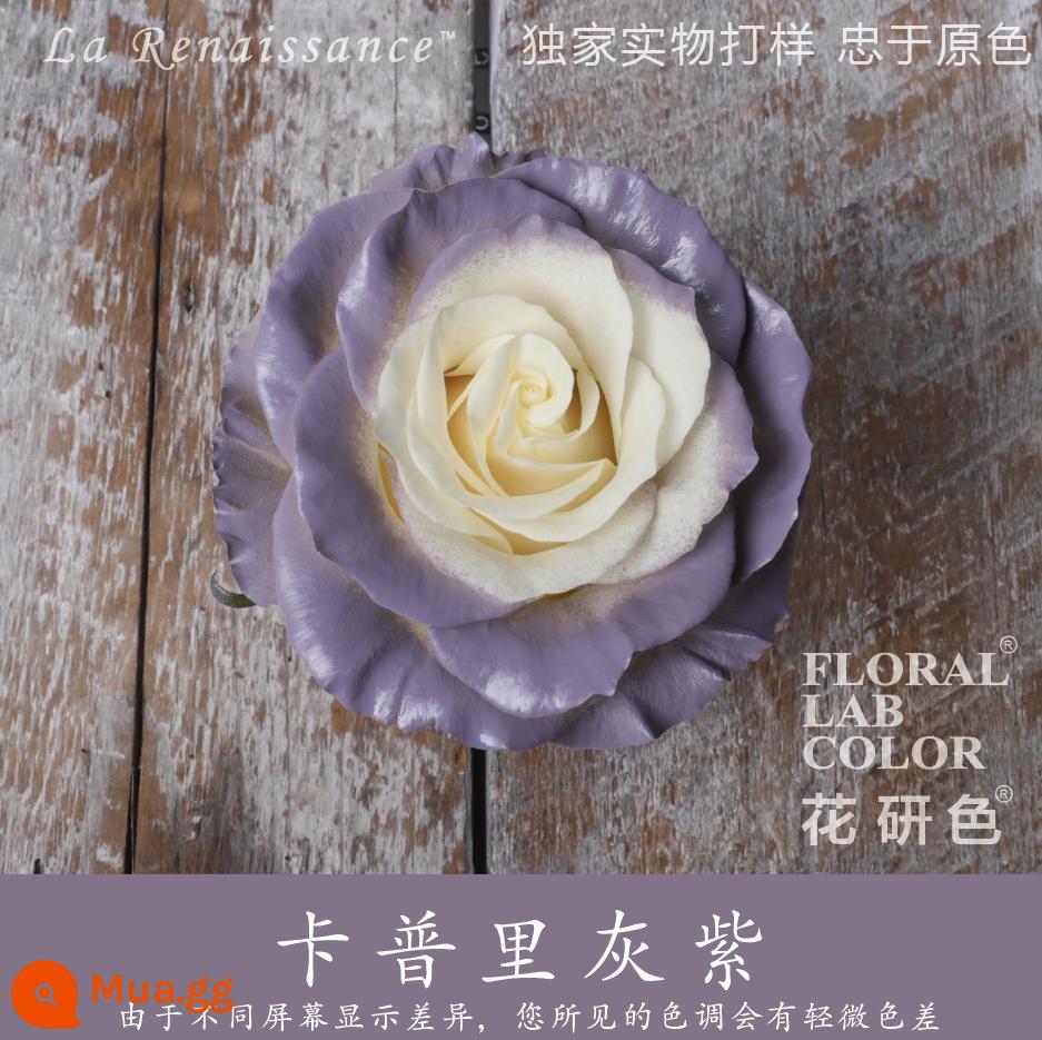 Flower Research color phun sơn phun màu đại lý thuốc nhuộm tóc chính hãng Michigan crush ice blue cao cấp màu Morandi - Capri xám tím 31#