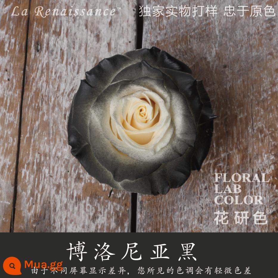 Flower Research color phun sơn phun màu đại lý thuốc nhuộm tóc chính hãng Michigan crush ice blue cao cấp màu Morandi - Đen 16# Bologna Đen