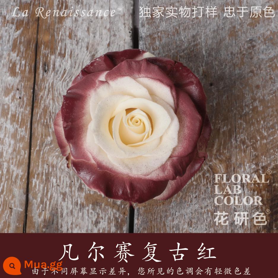 Flower Research color phun sơn phun màu đại lý thuốc nhuộm tóc chính hãng Michigan crush ice blue cao cấp màu Morandi - Versailles Vintage Đỏ 38#