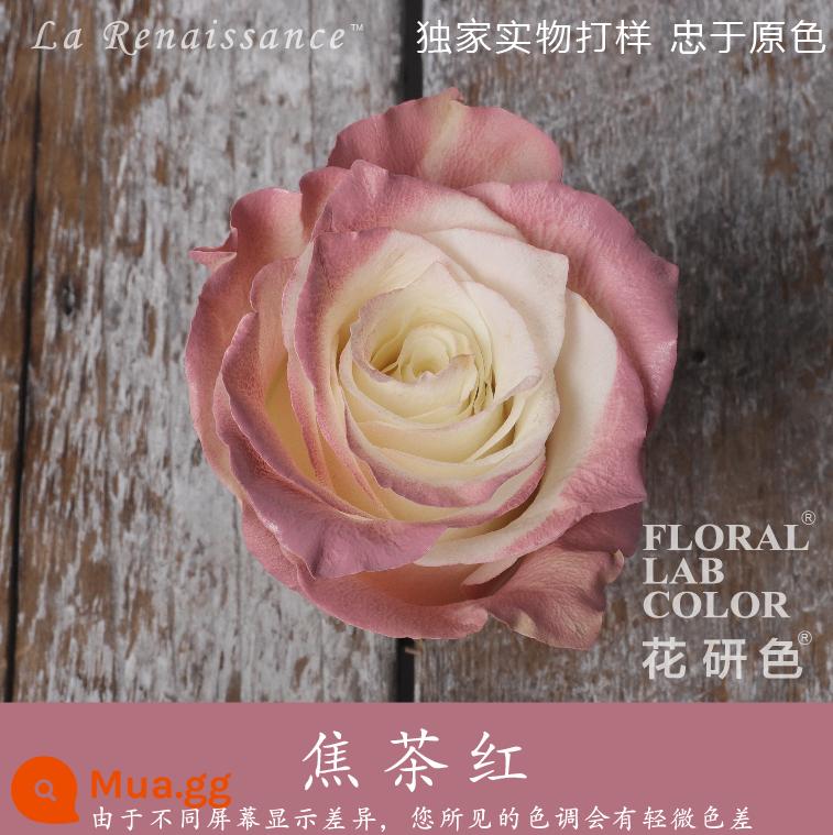 Flower Research color phun sơn phun màu đại lý thuốc nhuộm tóc chính hãng Michigan crush ice blue cao cấp màu Morandi - Giao Xá Hồng R006#