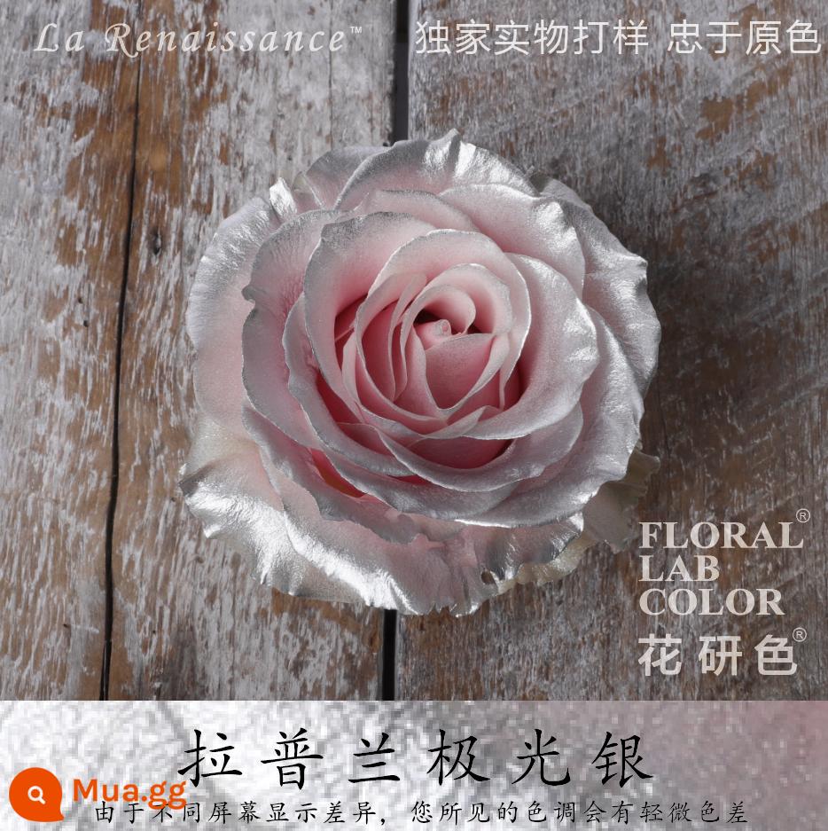 Flower Research color phun sơn phun màu đại lý thuốc nhuộm tóc chính hãng Michigan crush ice blue cao cấp màu Morandi - Bạc 20# Laplain Aurora Bạc