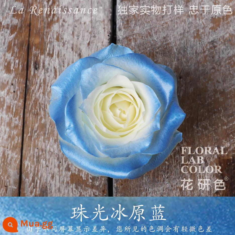 Flower Research color phun sơn phun màu đại lý thuốc nhuộm tóc chính hãng Michigan crush ice blue cao cấp màu Morandi - Màu xanh ngọc trai 61#