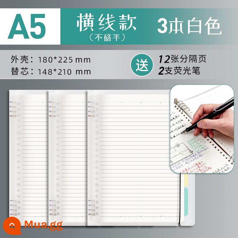 Văn phòng phẩm Chenguang B5 sổ rời không cầm tay lưới đường kẻ ngang đa quy cách A4 có thể tháo rời lõi dày sổ ghi chép kiểm tra đầu vào của học sinh cuốn sách câu hỏi sai cuộn - Trắng/A5 gạch ngang 3 cuốn/không gây khó chịu