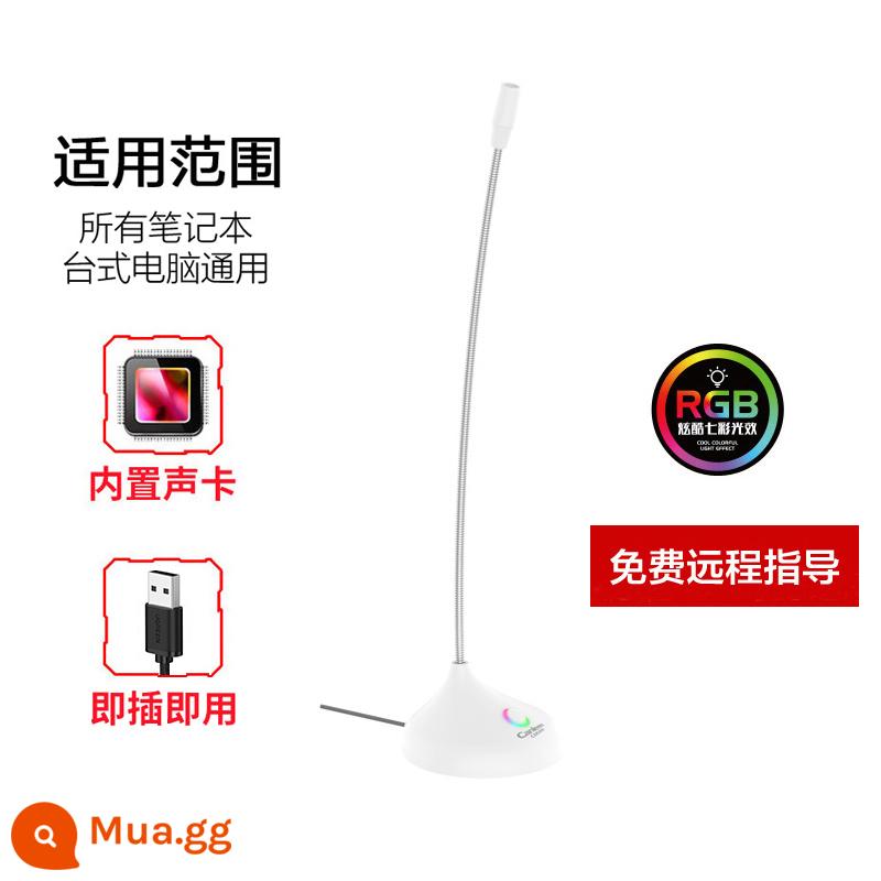 Micrô Jiahe CM-208 máy tính để bàn micrô trò chơi bằng giọng nói máy tính xách tay USB giảm tiếng ồn phổ quát ăn gà neo trực tiếp bài hát K hội nghị tại nhà YY thiết bị ghi âm trò chuyện micrô điện dung mic - Phiên bản USB màu trắng