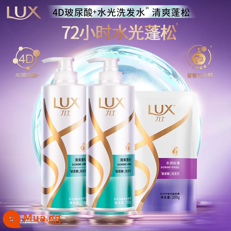 Gói gia đình Lux Hyaluronic Acid Fragrance/Tinh chất dưỡng tóc dành cho nam và nữ - [Kiểm soát dầu và tạo bọt] Dầu gội 750g*2+200g