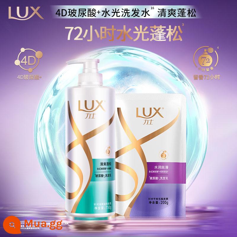 Gói gia đình Lux Hyaluronic Acid Fragrance/Tinh chất dưỡng tóc dành cho nam và nữ - [Kiểm soát dầu và tạo bọt] Dầu gội 750g+200g