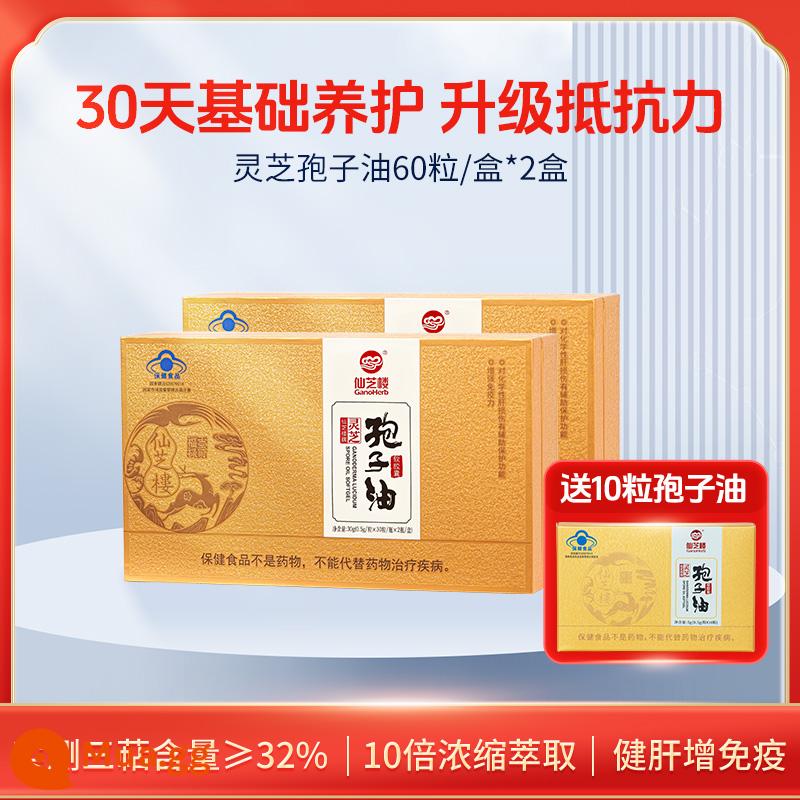 Triterpenes cao] Xianzhilou Ganoderma dầu bào tử viên nang mềm 60 viên bột bào tử không phải Ganoderma chính thức của cửa hàng hàng đầu - Gói hàng tháng] 60 viên * 2 hộp (miễn phí 10 viên)