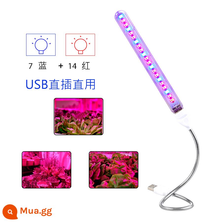 USB thông thường plug-in clip cây lấp đầy ánh sáng bắt chước mặt trời toàn phổ hoa mọc rêu mọng nước trong chậu tiểu cảnh - Đèn chiếu sáng nhà máy dải USB