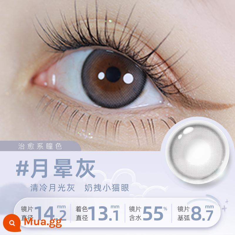 Kính áp tròng màu EYEPONY Hàn Quốc dùng 1 lần hàng ngày 10 cái * 3 hộp Kính áp tròng màu mắt chó nâu chạng vạng Islet moose brown - [Sản phẩm tốt nhất trực tuyến] Moonlight Grey (màu xám ánh trăng mát mẻ, mắt mèo nhỏ dễ thương)