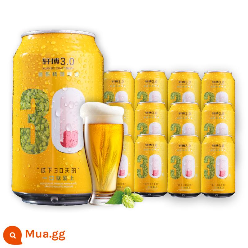 Bia Xuanbo nồi vàng nhỏ 330ml * 24 nghe bia thủ công Đức nguyên hộp Bia trắng lúa mì 10,5 ° P - Hũ vàng nhỏ 3.0 330ml*24 lon