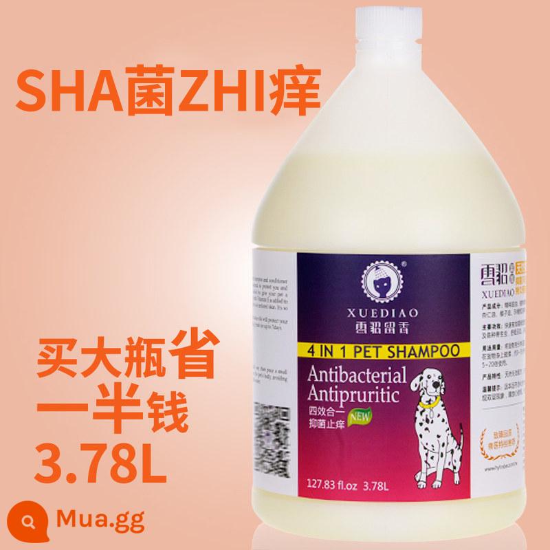 Chồn Thú Cưng Sữa Tắm Vat Chó Khử Trùng Khử Mùi Hương Thơm Lâu Sữa Tắm Đặc Biệt Chú Hưu Vàng Tuyết Điêu Khắc Sữa Tắm - (kháng khuẩn và chống ngứa) 1 gallon (vòi phun)