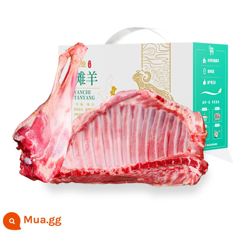 Xác thực Ninh Hạ Yanchitan thịt cừu tươi giết thịt chân sau nguyên con 5 pound thịt nguyên chất được đánh bắt bằng tay Hộp quà năm mới - 5 pound đùi cừu, 5 pound sườn cừu