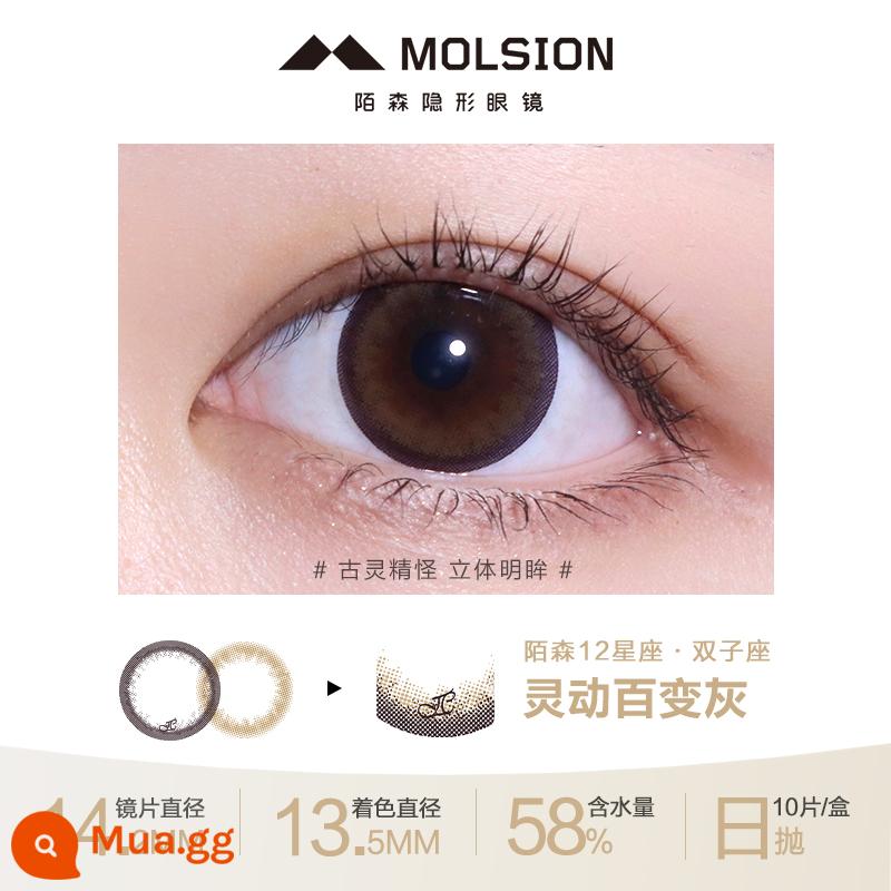 Mosen Molsion Constellation Chòm sao Constellation Constellation Series Xử lý hàng ngày 10 cái Màu Kính áp tròng Cận thị Kích thước và Đường kính Hỗn hợp - Màu xám Song Tử linh hoạt và luôn thay đổi