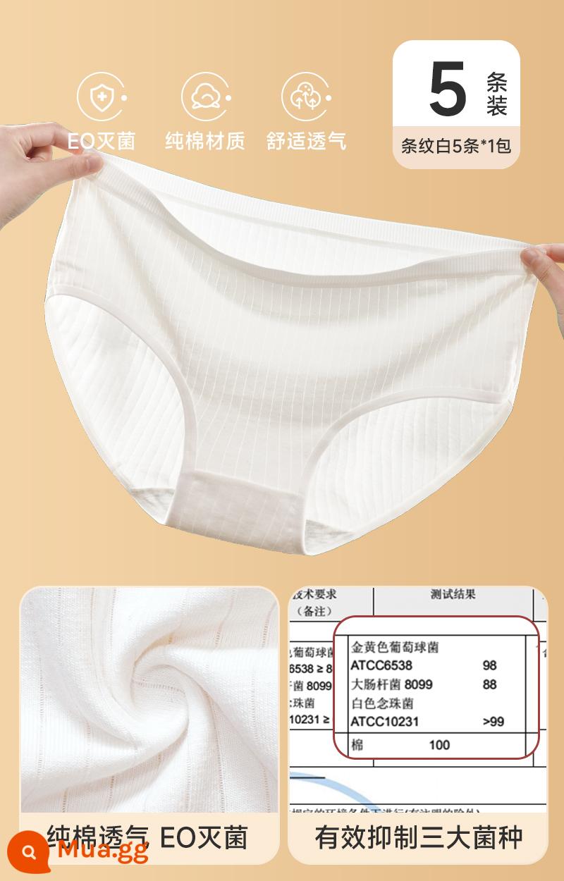 Đồ lót dùng một lần cho nữ, quần short cotton nguyên chất vô trùng, quần dành cho nam sau sinh cỡ lớn dùng một lần hàng ngày cho nam, đi du lịch và công tác, không cần giặt - [Khử trùng EO + Kháng khuẩn 3A] Áo 5 sọc trắng nữ