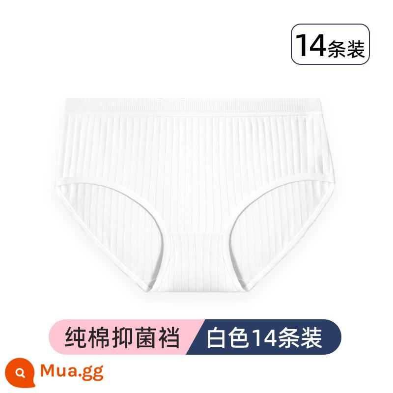 Đồ lót dùng một lần cotton nguyên chất vô trùng dành cho bà bầu quần short dùng một lần dùng một lần hàng ngày bao bì độc lập của phụ nữ đi du lịch - [Trắng 14 gói] Đáy quần cotton nguyên chất kháng khuẩn, không cần giặt và đeo trực tiếp