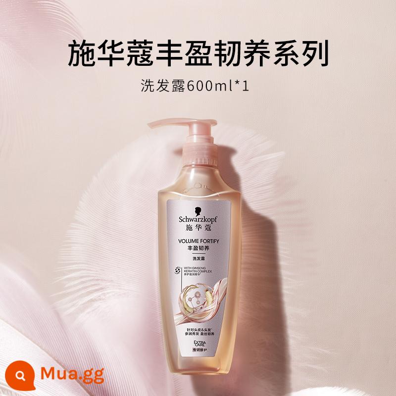 Bộ dầu gội Schwarzkopf kiểm soát dầu mềm mượt trị gàu hương thơm lâu dài bộ dầu gội dầu gội axit amin - [Tạo bọt và bồng bềnh] Dầu gội tạo phồng 600ml