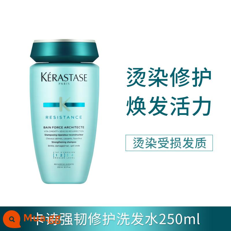 Dầu gội Kérastase Paris 250ml Black Diamond Caviar Chức năng kép Root Chăm sóc đặc biệt Kiểm soát dầu Trị gàu Vitality Ginger Chống rụng - Dầu gội phục hồi tăng cường Kérastase Paris