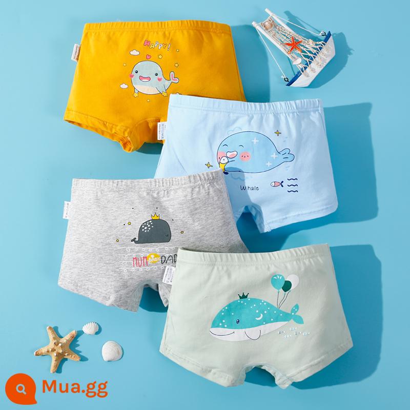 Nanjiren Quần Lót Trẻ Em Bé Trai Cotton Nguyên Chất Bé Trai Cotton Trung Và Lớn Quần Lót Boxer Trẻ Em 100%FH - cá voi nhỏ