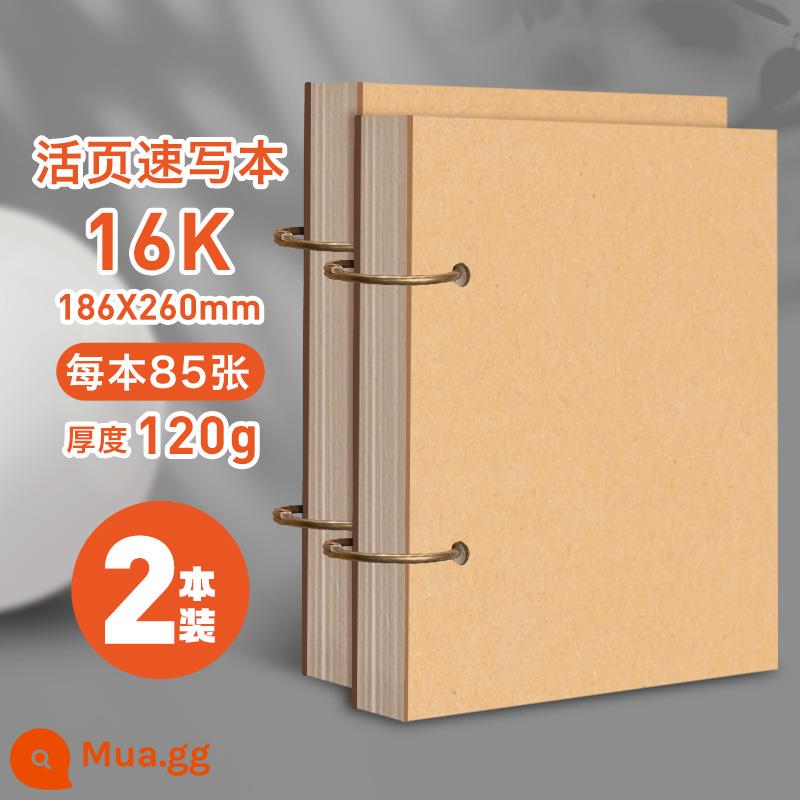 Sách phác thảo Yuanhao A4 Sinh viên nghệ thuật 16K đặc biệt 16/8 sinh viên mở phác thảo trẻ em nghệ thuật cầm tay nhỏ Tranh 32K vẽ tay Sách ảnh 8k A5 tám mở A3 bút vẽ tranh trống Sách ảnh 4K - 2 sách rời 16K/170 tờ