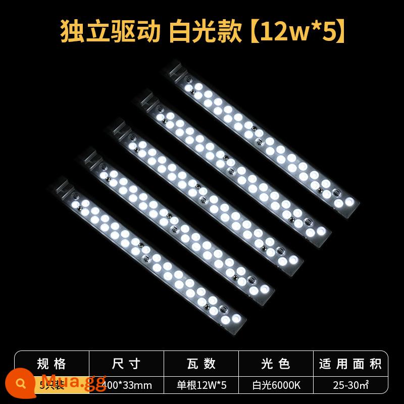 Đèn led chiếu sáng NVC trần phòng khách bấc biến đổi bảng điều khiển đèn với bảng điều khiển đèn dải dài thay thế ống kính tiết kiệm năng lượng dải đèn - [Áp dụng cho đèn trần 45-75cm] Bộ điều khiển độc lập với tổng công suất ánh sáng trắng 60W, có thể kết hợp nhiều đèn