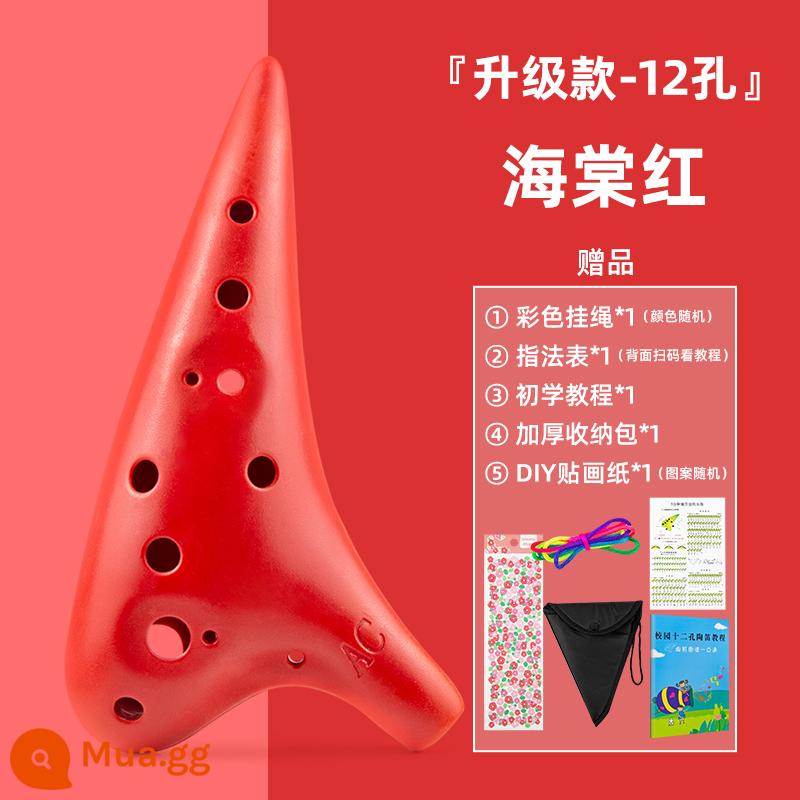 Ve Sầu Vàng Ocarina 12 Lỗ Nhựa Nhựa Alto C Giai Điệu 12 Lỗ AC Giai Điệu Ocarina Chống Rơi Học Sinh Người Mới Bắt Đầu - Nâng cấp alto đỏ + quà tặng miễn phí + tài liệu giảng dạy + túi