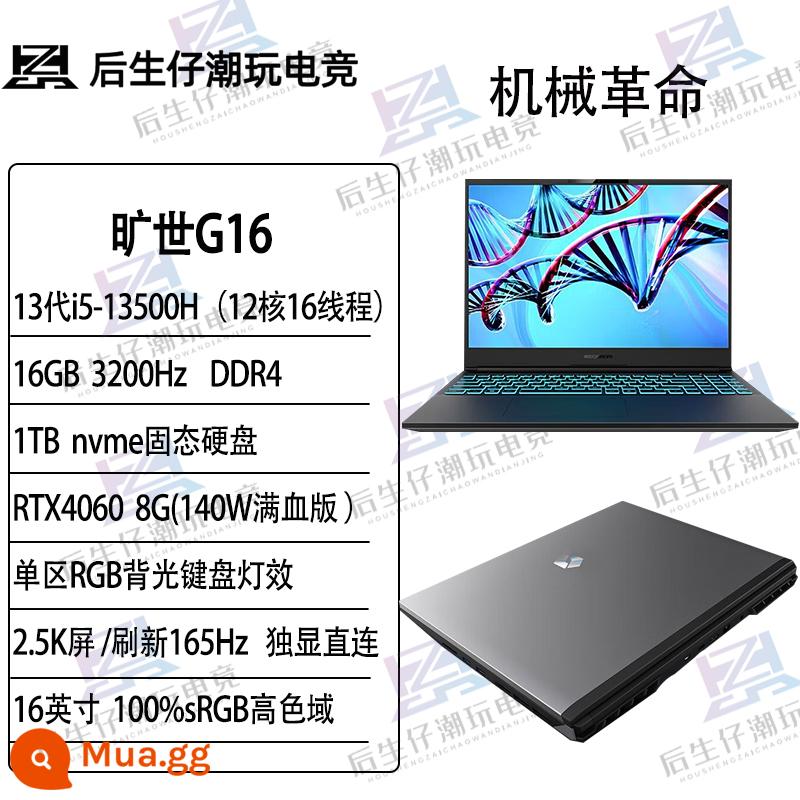 Mechanical Revolution Questyle G16 RTX4060 thế hệ thứ 13 i7 máy tính xách tay chơi game thể thao điện tử cao cấp dành cho sinh viên - Questyle G16 i5-13500H RTX4060 2K/165Hz