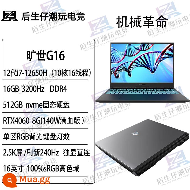 Mechanical Revolution Questyle G16 RTX4060 thế hệ thứ 13 i7 máy tính xách tay chơi game thể thao điện tử cao cấp dành cho sinh viên - Questyle G16 i7-12650H RTX4060 2K/240Hz