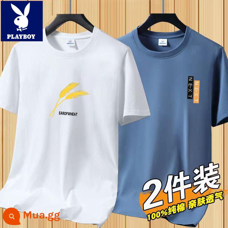 Áo thun tay ngắn Playboy nam mùa hè mới Áo thun cotton trắng nam cổ tròn top đáy áo sơ mi xu hướng - [2 chiếc 832 trắng + 831 xanh mờ]