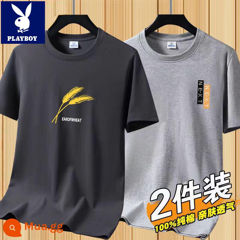 Áo thun tay ngắn Playboy nam mùa hè mới Áo thun cotton trắng nam cổ tròn top đáy áo sơ mi xu hướng - [2 chiếc 832 xám đậm + 831 xám nhạt]