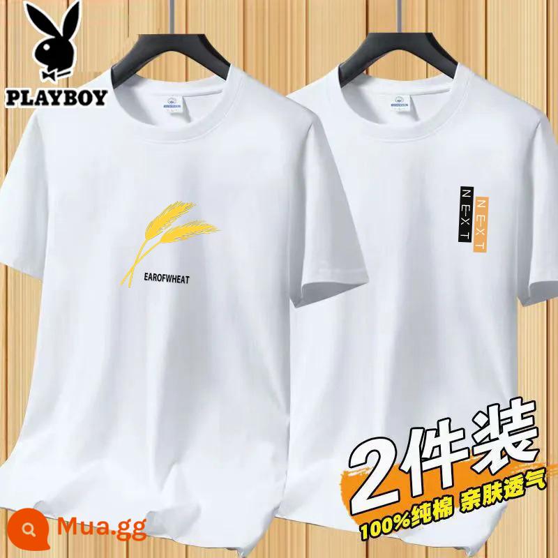 Áo thun tay ngắn Playboy nam mùa hè mới Áo thun cotton trắng nam cổ tròn top đáy áo sơ mi xu hướng - [2 cái 832 trắng + 831 trắng]