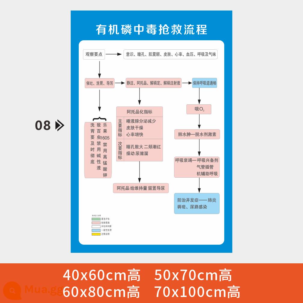 Phòng cấp cứu bệnh viện quy trình các bước sơ đồ treo tranh sơ đồ phản ứng sốc phản vệ hồi sức tim phổi sơ đồ cấp cứu - y01-Hình cứu hộ bệnh viện (08)