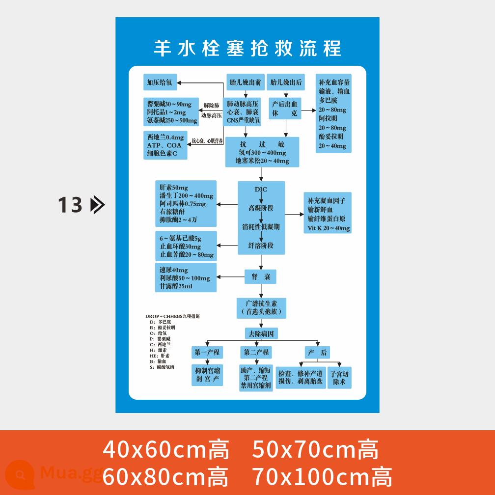 Phòng cấp cứu bệnh viện quy trình các bước sơ đồ treo tranh sơ đồ phản ứng sốc phản vệ hồi sức tim phổi sơ đồ cấp cứu - y01-Hình ảnh cứu hộ bệnh viện (13)