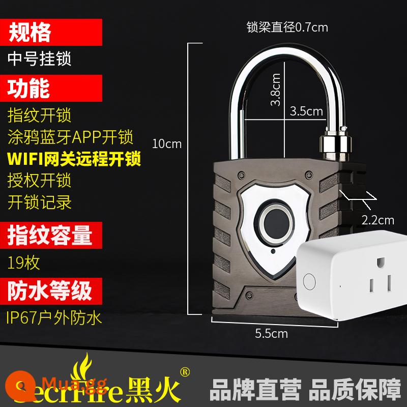 Đen lửa thông minh Bluetooth khóa vân tay ngăn kéo tủ nhỏ lưu trữ cửa tủ ký túc xá sinh viên nhà điều khiển từ xa khóa phím - Tuya APP + 19 dấu vân tay + mở khóa cổng từ xa, kích thước trung bình