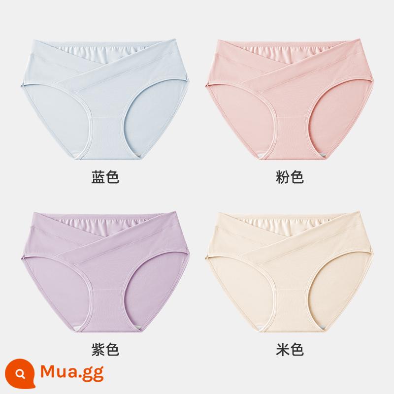 Jingqi đồ lót bà bầu nữ cotton nguyên chất mang thai cotton đặc biệt sớm, giữa và cuối thai kỳ eo thấp quần short cỡ lớn - xanh + hồng + tím + be