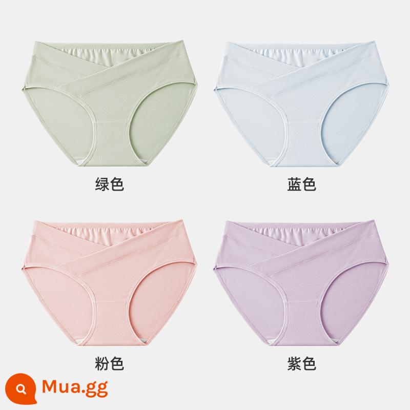 Jingqi đồ lót bà bầu nữ cotton nguyên chất mang thai cotton đặc biệt sớm, giữa và cuối thai kỳ eo thấp quần short cỡ lớn - xanh + xanh + hồng + tím