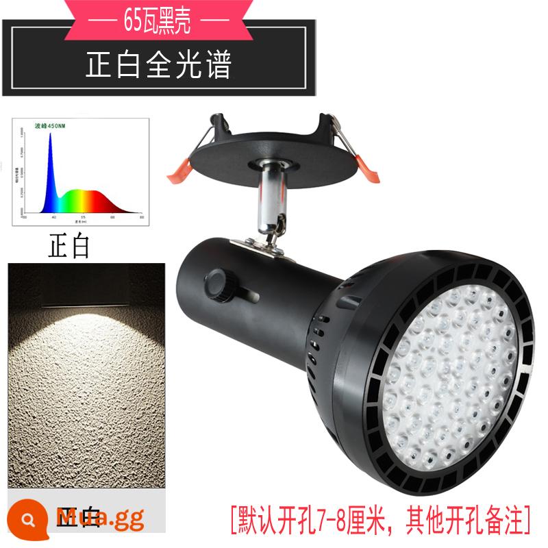 Đèn tường thực vật nhúng lấp đầy ánh sáng downlight đầy đủ màu xanh lá cây tăng trưởng thực vật giả mặt trời rừng nhiệt đới đèn led âm trần - 65 watt màu trắng tinh khiết + đầu phổ thông (mẫu trần) vỏ màu đen