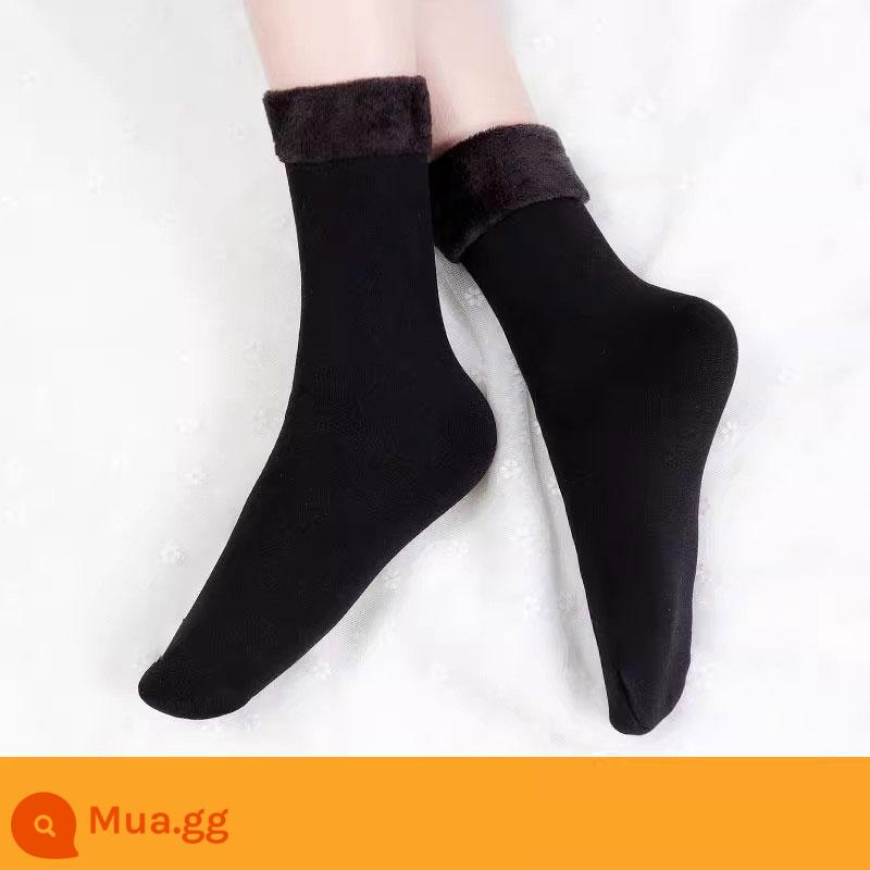 Langsha Stockings Cô Spring and Autumn dày lên Power Mock -resistant Anti -hook Pine Mocks Mùa thu và mùa đông Swanal Velvet Black Stockings - Đen 10 (10 đôi cả nhung)