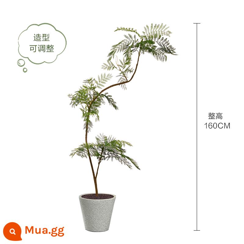 Màu xanh jacaranda mô phỏng cây xanh cao cấp ánh sáng sang trọng trong nhà trang trí phòng khách hoa sinh học giả cây trồng trong chậu lớn trên sàn - Chậu jacaranda xanh nhạt sang trọng 160CM-A + chậu sừng hoa văn trắng 26*26