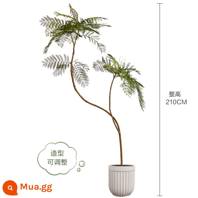 Màu xanh jacaranda mô phỏng cây xanh cao cấp ánh sáng sang trọng trong nhà trang trí phòng khách hoa sinh học giả cây trồng trong chậu lớn trên sàn - Hoa jacaranda xanh nhạt sang trọng 210CM-C + lọ hoa tròn 30*32