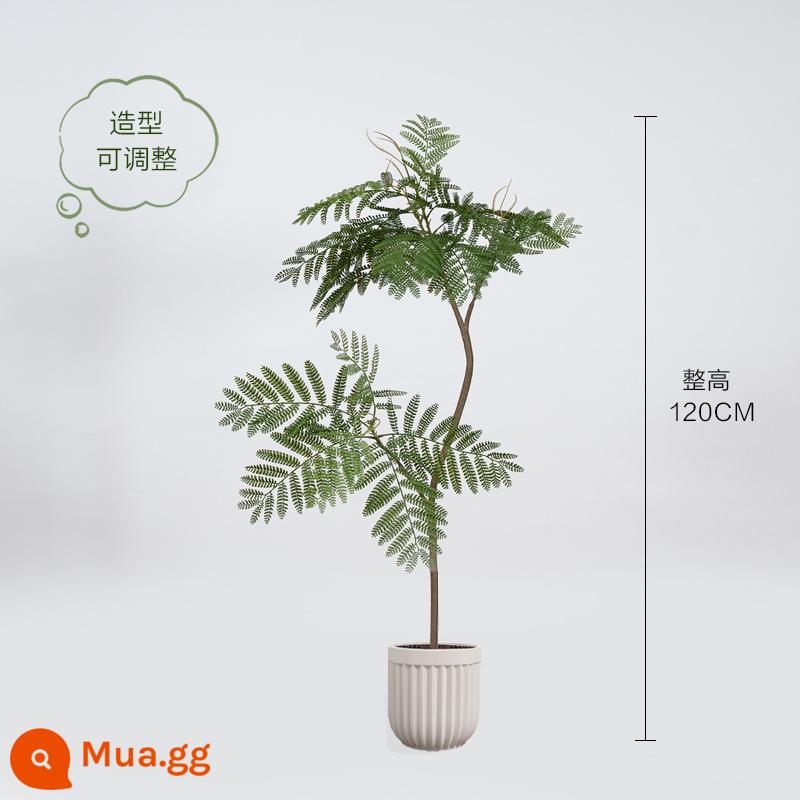 Màu xanh jacaranda mô phỏng cây xanh cao cấp ánh sáng sang trọng trong nhà trang trí phòng khách hoa sinh học giả cây trồng trong chậu lớn trên sàn - Hoa jacaranda xanh nhạt sang trọng 120CM + lọ hoa tròn 22*23