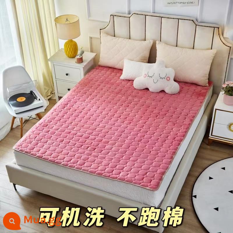 Dày flannel nệm nhà đôi tatami mat ký túc xá sinh viên giường đơn sàn nệm chăn - hồng [vải nỉ]