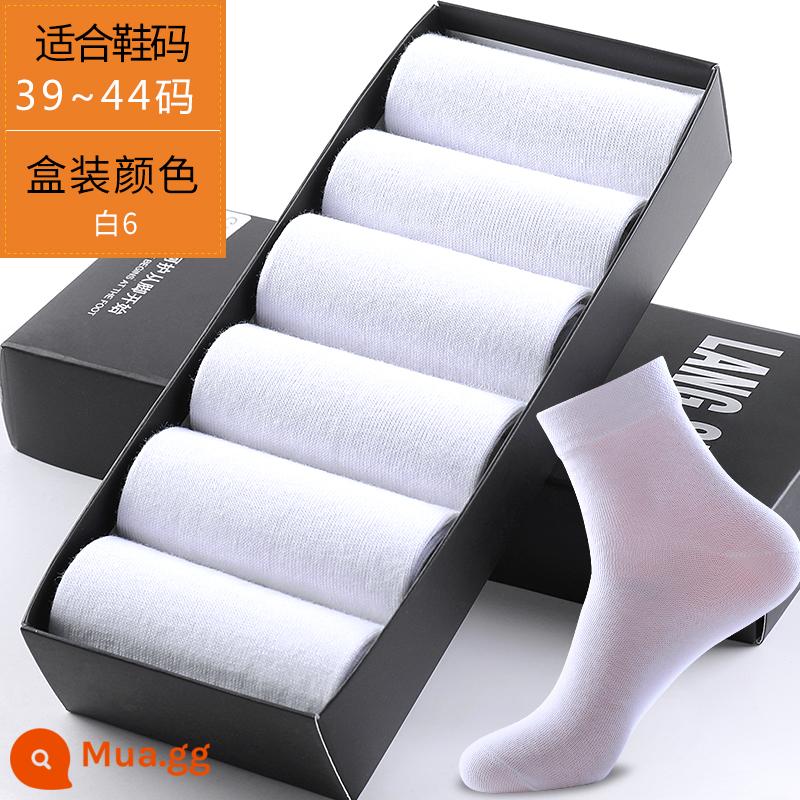 Tất Langsha Nam Cotton Nguyên Chất Giữa Bắp Chân Thu Khử Mùi Hút Mồ Hôi Mùa Hè Kinh Doanh Giày Da Đen 100% Đôi Tất Cotton - Kiểu 2-Trắng 6