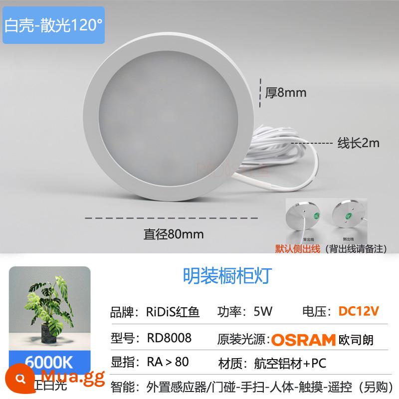 Đèn LED siêu mỏng chiếu sáng toàn bộ tủ 12V tủ trưng bày lộ đèn chiếu sáng treo tủ quần áo tủ sách tủ rượu đáy trong nhà bếp hộp đèn đuôi ô tô - Vỏ trắng 12V 5w đèn trắng dương/đèn đơn ổ cắm bên