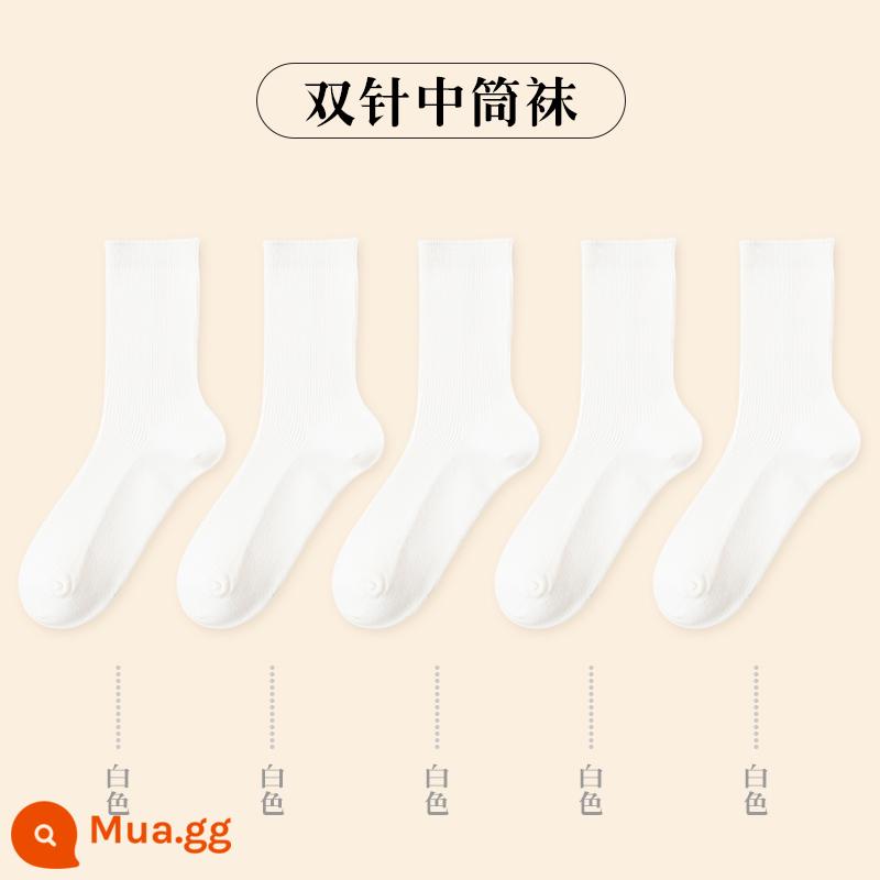 Vớ Nam Cực Vớ ống giữa dành cho nữ mùa thu đông vớ cotton màu trơn phiên bản Hàn Quốc vớ bong bóng Nhật Bản vớ giữ ấm thủy triều - [5 đôi] 5 trắng