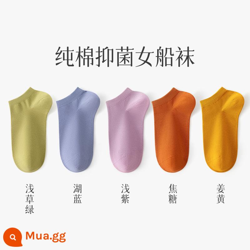 Tất, tất nữ, xuân hè, cotton nguyên chất, khử mùi, tất ống giữa nữ, xuân hè, tất cotton ngắn, tất vô hình bé gái, mùa hè - 5 đôi bông nhuyễn: xanh cỏ nhạt + xanh hồ nước + tím nhạt + caramel + vàng nghệ