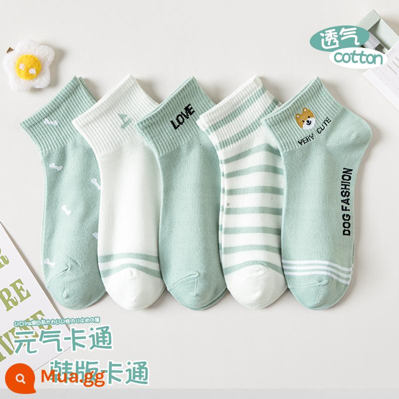 Tất, tất nữ, xuân hè, cotton nguyên chất, khử mùi, tất ống giữa nữ, xuân hè, tất cotton ngắn, tất vô hình bé gái, mùa hè - 5 đôi: 2015