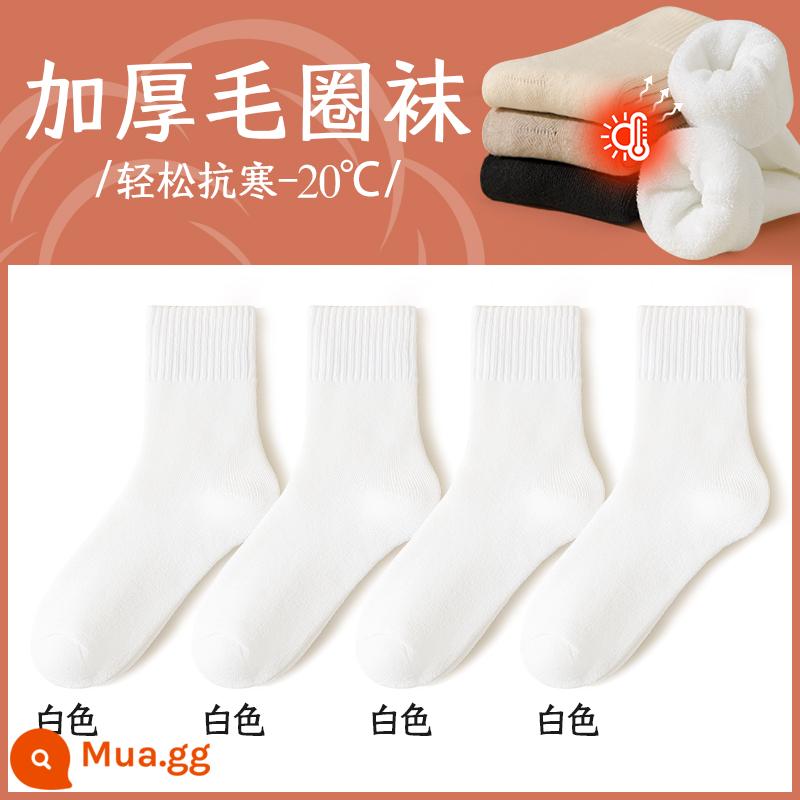 Vớ Cashmere Trẻ em Mùa thu và mùa đông Mid -winter Middle vớ cộng với pluffle ống dài sàn nhà ngủ Sleep Super Desss - [Dày terry] 4 đôi: 4 màu trắng